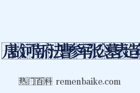 唐故河南府法曹参军张公墓表造句是什么意思的图片